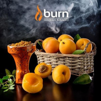 Табак Burn - Juicy apricot (сладкий абрикос) 25 гр